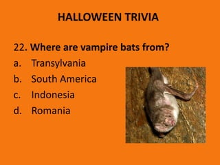 HALLOWEEN TRIVIA
22. Where are vampire bats from?
a. Transylvania
b. South America
c. Indonesia
d. Romania
 