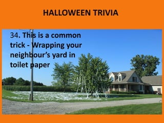 HALLOWEEN TRIVIA
34. This is a common
trick - Wrapping your
neighbour’s yard in
toilet paper
 