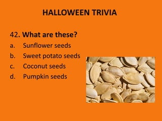 HALLOWEEN TRIVIA
42. What are these?
a. Sunflower seeds
b. Sweet potato seeds
c. Coconut seeds
d. Pumpkin seeds
 