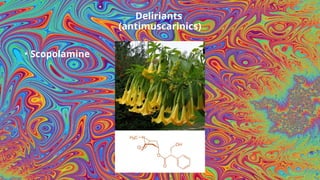 Comprehensive Overview of Hallucinogens: Types, History, and Medical ...