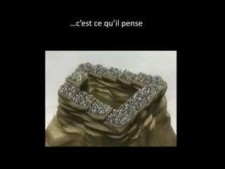 …c’est ce qu’il pense
 