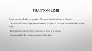 PHANTOM LIMB
• Most phantom limbs are produced by peripheral and central disorders.
• Occasionally it develops from lesion of peripheral nerve or the medulla or spinal
cord.
• Thalamoparietal lesions have phantom third arm or leg.
• Correspond to the previous image of the limb.
 