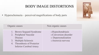 BODY IMAGE DISTORTIONS
• Hyperschemazia – perceived magnifications of body parts
Organic causes Non organic causes
1. Brown Sequard Syndrome
2. Peripheral Vascular
Disease
3. Multiple Sclerosis
4. Thrombosis of Posterior
Inferior Cerebral Artery
oHypochondriasis
oConversion disorder
o Depersonalization
oAnorexia nervosa
 