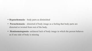 • Hyposchemazia – body parts as diminished
• Paraschemazia – distorted of body image as a feeling that body parts are
distorted or twisted from rest of the body.
• Hemisomatognosia- unilateral lack of body image in which the person behaves
as if one side of body is missing
 
