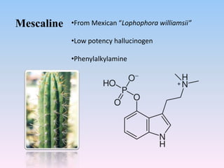 Mescaline •From Mexican “Lophophora williamsii”
•Low potency hallucinogen
•Phenylalkylamine
 