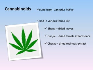 Cannabinoids •Found from Cannabis indica
•Used in various forms like
 Bhang – dried leaves
 Ganja - dried female infloresence
 Charas – dried resinous extract
 