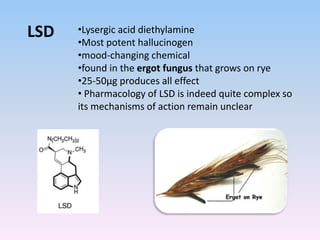LSD •Lysergic acid diethylamine
•Most potent hallucinogen
•mood-changing chemical
•found in the ergot fungus that grows on rye
•25-50µg produces all effect
• Pharmacology of LSD is indeed quite complex so
its mechanisms of action remain unclear
 