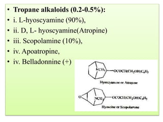 • Tropane alkaloids (0.2-0.5%):
• i. L-hyoscyamine (90%),
• ii. D, L- hyoscyamine(Atropine)
• iii. Scopolamine (10%),
• iv. Apoatropine,
• iv. Belladonnine (+)
 