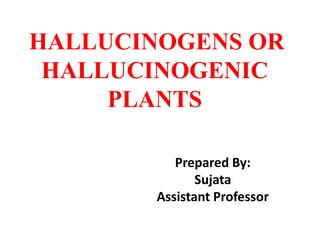 HALLUCINOGENS OR
HALLUCINOGENIC
PLANTS
Prepared By:
Sujata
Assistant Professor
 