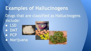 Drugs that are classified as Hallucinogens
include:
● LSD
● DMT
● PCP
● Marijuana
Examples of Hallucinogens
 