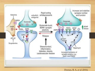 Duman, R. S., et al (2016)
 