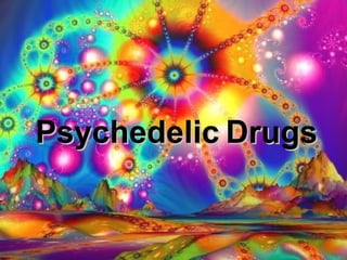 Psychedelic   Drugs 