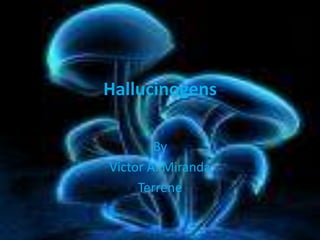 Hallucinogens By Victor A. Miranda Terrene 