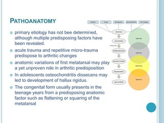 PATHOANATOMY
 primary etiology has not bee determined,
although multiple predisposing factors have
been revealed.
 acute trauma and repetitive micro-trauma
predispose to arthritic changes
 anatomic variations of first metatarsal may play
a yet unproven role in arthritic predisposition
 In adolescents osteochondritis dissecans may
led to development of hallux rigidus.
 The congenital form usually presents in the
teenage years from a predisposing anatomic
factor such as flattening or squaring of the
metatarsal
 
