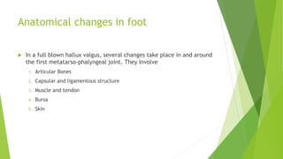 Anatomical changes in foot
 In a full blown hallux valgus, several changes take place in and around
the first metatarso-phalyngeal joint. They Involve
1. Articular Bones
2. Capsular and ligamentous structure
3. Muscle and tendon
4. Bursa
5. Skin
 