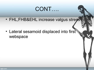 CONT….
• FHL,FHB&EHL increase valgus stress
• Lateral sesamoid displaced into first
webspace
 