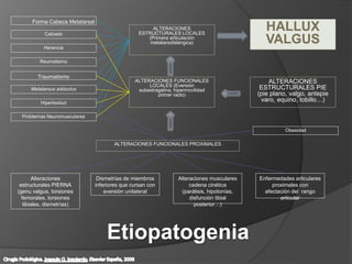 Forma Cabeza Metatarsal
Calzado
Herencia
Reumatismo
Traumatismo
Metatarsus adductus
Hiperlaxitud
Problemas Neuromusculares
ALTERACIONES
ESTRUCTURALES LOCALES
(Primera articulación
metatarsofalángica)
ALTERACIONES FUNCIONALES
LOCALES (Eversión
subastragalina, hipermovilidad
primer radio)
ALTERACIONES
ESTRUCTURALES PIE
(pie plano, valgo, antepie
varo, equino, tobillo…)
Obesidad
ALTERACIONES FUNCIONALES PROXIMALES
Alteraciones
estructurales PIERNA
(genu valgus, torsiones
femorales, torsiones
tibiales, dismetrías)
Dismetrías de miembros
inferiores que cursan con
eversión unilateral
Alteraciones musculares
cadena cinética
(parálisis, hipotonías,
disfunción tibial
posterior…)
Enfermedades articulares
proximales con
afectación del rango
articular
HALLUX
VALGUS
Etiopatogenia
 