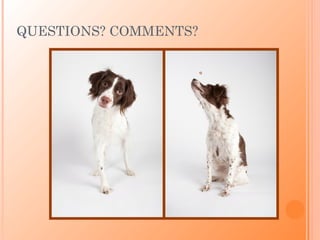 QUESTIONS? COMMENTS?
 