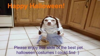 Happy Halloween!

Please enjoy this slide of the best pet
halloween costumes I could find :)

 