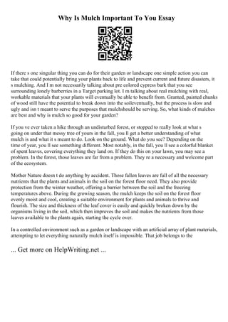 Why Is Mulch Important To You Essay
If there s one singular thing you can do for their garden or landscape one simple action you can
take that could potentially bring your plants back to life and prevent current and future disasters, it
s mulching. And I m not necessarily talking about pre colored cypress bark that you see
surrounding lonely barberries in a Target parking lot. I m talking about real mulching with real,
workable materials that your plants will eventually be able to benefit from. Granted, painted chunks
of wood still have the potential to break down into the soileventually, but the process is slow and
ugly and isn t meant to serve the purposes that mulchshould be serving. So, what kinds of mulches
are best and why is mulch so good for your garden?
If you ve ever taken a hike through an undisturbed forest, or stopped to really look at what s
going on under that messy tree of yours in the fall, you ll get a better understanding of what
mulch is and what it s meant to do. Look on the ground. What do you see? Depending on the
time of year, you ll see something different. Most notably, in the fall, you ll see a colorful blanket
of spent leaves, covering everything they land on. If they do this on your lawn, you may see a
problem. In the forest, those leaves are far from a problem. They re a necessary and welcome part
of the ecosystem.
Mother Nature doesn t do anything by accident. Those fallen leaves are full of all the necessary
nutrients that the plants and animals in the soil on the forest floor need. They also provide
protection from the winter weather, offering a barrier between the soil and the freezing
temperatures above. During the growing season, the mulch keeps the soil on the forest floor
evenly moist and cool, creating a suitable environment for plants and animals to thrive and
flourish. The size and thickness of the leaf cover is easily and quickly broken down by the
organisms living in the soil, which then improves the soil and makes the nutrients from those
leaves available to the plants again, starting the cycle over.
In a controlled environment such as a garden or landscape with an artificial array of plant materials,
attempting to let everything naturally mulch itself is impossible. That job belongs to the
... Get more on HelpWriting.net ...
 
