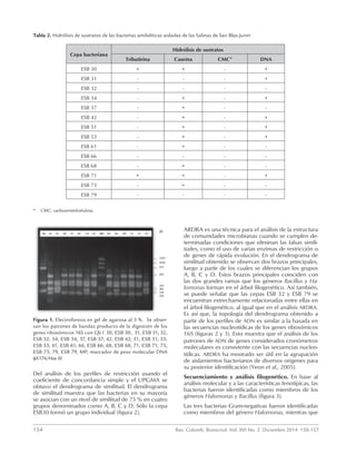 154	 Rev. Colomb. Biotecnol. Vol. XVI No. 2 Diciembre 2014 150-157
Del análisis de los perfiles de restricción usando el
coeficiente de concordancia simple y el UPGMA se
obtuvo el dendrograma de similitud. El dendrograma
de similitud muestra que las bacterias en su mayoría
se asocian con un nivel de similitud de 75 % en cuatro
grupos denominados como A, B, C y D. Sólo la cepa
ESB30 formó un grupo individual (figura 2).
ARDRA es una técnica para el análisis de la estructura
de comunidades microbianas cuando se cumplen de-
terminadas condiciones que eliminan las falsas simili-
tudes, como el uso de varias enzimas de restricción o
de genes de rápida evolución. En el dendrograma de
similitud obtenido se observan dos brazos principales,
luego a partir de los cuales se diferencian los grupos
A, B, C y D. Estos brazos principales coinciden con
las dos grandes ramas que los géneros Bacillus y Ha-
lomonas forman en el árbol filogenético. Así también,
se puede señalar que las cepas ESB 32 y ESB 79 se
encuentran estrechamente relacionadas entre ellas en
el árbol filogenético, al igual que en el análisis ARDRA.
Es así que, la topología del dendrograma obtenido a
partir de los perfiles de ADN es similar a la basada en
las secuencias nucleotídicas de los genes ribosómicos
16S (figuras 2 y 3). Esto muestra que el análisis de los
patrones de ADN de genes considerados cronómetros
moleculares es consistente con las secuencias nucleo-
tídicas. ARDRA ha mostrado ser útil en la agrupación
de aislamientos bacterianos de diversos orígenes para
su posterior identificación (Yeon et al., 2005).
Secuenciamiento y análisis filogenético. En base al
análisis molecular y a las características fenotípicas, las
bacterias fueron identificadas como miembros de los
géneros Halomonas y Bacillus (figura 3).
Las tres bacterias Gram-negativas fueron identificadas
como miembros del género Halomonas, mientras que
Tabla 2. Hidrólisis de sustratos de las bacterias amilolíticas aisladas de las Salinas de San Blas-Junín
Cepa bacteriana
Hidrólisis de sustratos
Tributirina Caseína CMC* DNA
ESB 30 + + - +
ESB 31 - - - +
ESB 32 - - - -
ESB 34 - + - +
ESB 37 - + - -
ESB 42 - + - +
ESB 51 - + - +
ESB 53 - + - +
ESB 61 - + - -
ESB 66 - - - -
ESB 68 - + - -
ESB 71 + + - +
ESB 73 - + - -
ESB 79 - - - -
* 	 CMC: carboximetilcelulosa.
Figura 1. Electroforesis en gel de agarosa al 3 %. Se obser-
van los patrones de bandas producto de la digestión de los
genes ribosómicos 16S con Cfo I. 30, ESB 30; 31, ESB 31; 32,
ESB 32; 34, ESB 34; 37, ESB 37; 42, ESB 42; 51, ESB 51; 53,
ESB 53; 61, ESB 61; 66, ESB 66; 68, ESB 68; 71, ESB 71; 73,
ESB 73; 79, ESB 79, MP, marcador de peso molecular DNA
φX174/Hae III.
 