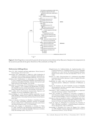 156	 Rev. Colomb. Biotecnol. Vol. XVI No. 2 Diciembre 2014 150-157
Referencias bibliográficas
Aiyer, P.V. 2005. Amylases and their applications. African Journal of
Biotechnology. 4(13):1525-1529.
Amoozegar, M.A.; Malekzadeh, F.; Malik, K.A. 2003. Production of
amylase by newly isolated moderate halophile, Halobacillus sp.
strain MA-2. Journal of Microbiological Methods. 52(3):353-359.
Ardakani, M.R.; Poshtkouhian, A.; Amoozegar, M.A.; Zolgharnein,
H. 2012. Isolation of moderately halophilic Pseudoalteromonas
producing extracellular hydrolytic enzymes from persian gulf.
Indian Journal of Microbiology. 52(1):94-98.
Babavalian, H.; Amoozegar, M.A.; Pourbabaee, A.A.; Moghaddam,
M.M.; Shakeri, F. 2013. Isolation and identification of modera-
tely halophilic bacteria producing hydrolytic enzymes from the
largest hypersaline playa in Iran. Microbiology. 82(4):466-474.
Bell, E.; editor. 2012. Life at Extremes: Environments, Organisms and
Strategies for Survival. Wallingford: CABI, p 554.
Chávez-Hidalgo, E.L. 2010. Bacterias halófilas moderadas con acti-
vidad lipolítica aisladas de las Salinas de Pilluana-San Martín.
Tesis de maestría, Universidad Nacional Mayor de San Marcos.
Lima, Perú.
Cojoc, R.; Merciu, S.; Popescu, G.; Dumitru, L.; Kamekura, M.; Ena-
che, M. 2009. Extracellular hydrolytic enzymes of halophilic
bacteria isolated from a subterranean rock salt crystal. Roma-
nian Biotechnological Letters. 14 (5):4658-4664.
Coronado, M-J.; Vargas, C.; Hofemeister, J.; Ventosa, A.; Nieto,
J.J. 2000. Production and biochemical characterization of an
α-amylase from the moderate halophile Halomonas meridiana.
FEMS Microbiology Letters. 183(1):67-71.
Delgado-García, M.; Valdivia-Urdiales, B.; Aguilar-González, C.N.;
Contreras-Esquivel, J.C.; Rodríguez-Herrera, R. 2012. Halophilic
hydrolases as a new tool for the biotechnological industries.
Journal of the Science of Food and Agriculture. 92(13): 2575-
2580.
Deutch, C.E. 2002. Characterization of a salt-tolerant extracellular
α-amylase from Bacillus dipsosauri. Letters in Applied Microbio-
logy. 35(1):78-84.
Dyall-Smith, M.; editor. 2006. The halohandbook. Protocols for ha-
loarchaeal genetics. Melbourne: University of Melbourne. p
144.
Enache, M.; Kamekura, M. 2010. Hydrolitic enzymes of halophilic
microorganisms and their economic values. Romanian Journal
of Biochemistry. 47(1):47-59.
Felsenstein, J. 1985. Confidence limits on phylogenies: an approach
using the bootstrap. Evolution. 39(4):783-791.
Flores, M.L.; Zavaleta, A.I.; Zambrano, Y.; Cervantes, L.; Izaguirre, V.
2010. Bacterias halófilas moderadas productoras de hidrolasas
de interés biotecnológico. Ciencia e Investigación. 13(1):42-46.
Ghozlan, H.; Deif, H.; Kandil, R.A.; Sabry, S. 2006. Biodiversity of mo-
derately halophilic bacteria in hypersaline habitats in Egypt. The
Journal of General and Applied Microbiology. 52(2):63-72.
Gupta, R.; Gigras, P.; Mohapatra, H.; Goswami, V.K.; Chauhan, B.
2003. Microbial α-amylases: a biotechnological perspective.
Process Biochemistry. 38(11):1599-1616.
Jeanmougin, F.; Thompson, J.D.; Gouy, M.; Higgins, D.G.; Gibson,
T.J. 1998. Multiple sequence alignment with Clustal X. Trends in
Biochemical Sciences. 23(10): 403-405.
Figura 3. Árbol filogenético mostrando la posición de las bacterias de las Salinas de San Blas-Junín. Basado en la comparación de
las secuencias parciales de los genes ribosómicos 16S y analizado con Mega 5.0.
 