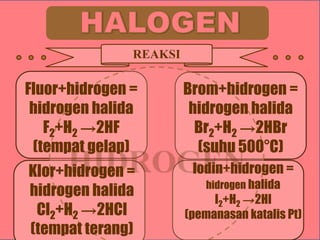 REAKSI

Fluor+hidrogen =
hidrogen halida
F2+H2 →2HF
(tempat gelap)

Brom+hidrogen =
hidrogen halida
Br2+H2 →2HBr
(suhu 500°C)

Klor+hidrogen =
hidrogen halida
Cl2+H2 →2HCl
(tempat terang)

Iodin+hidrogen =
hidrogen halida

I2+H2 →2HI
(pemanasan katalis Pt)

 