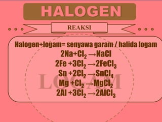 REAKSI

Halogen+logam= senyawa garam / halida logam

2Na+Cl2 →NaCl
2Fe +3Cl2 →2FeCl3
Sn +2Cl2 →SnCl4
Mg +Cl2 →MgCl2
2Al +3Cl2 →2AlCl3

 
