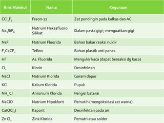 Warna Rms Halogen | PPTX