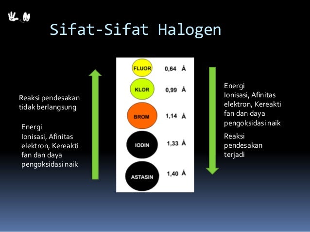 Halogen Halogen