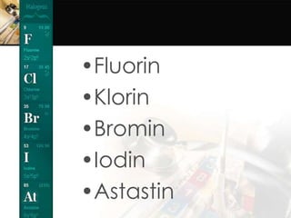•Fluorin
•Klorin
•Bromin
•Iodin
•Astastin
 