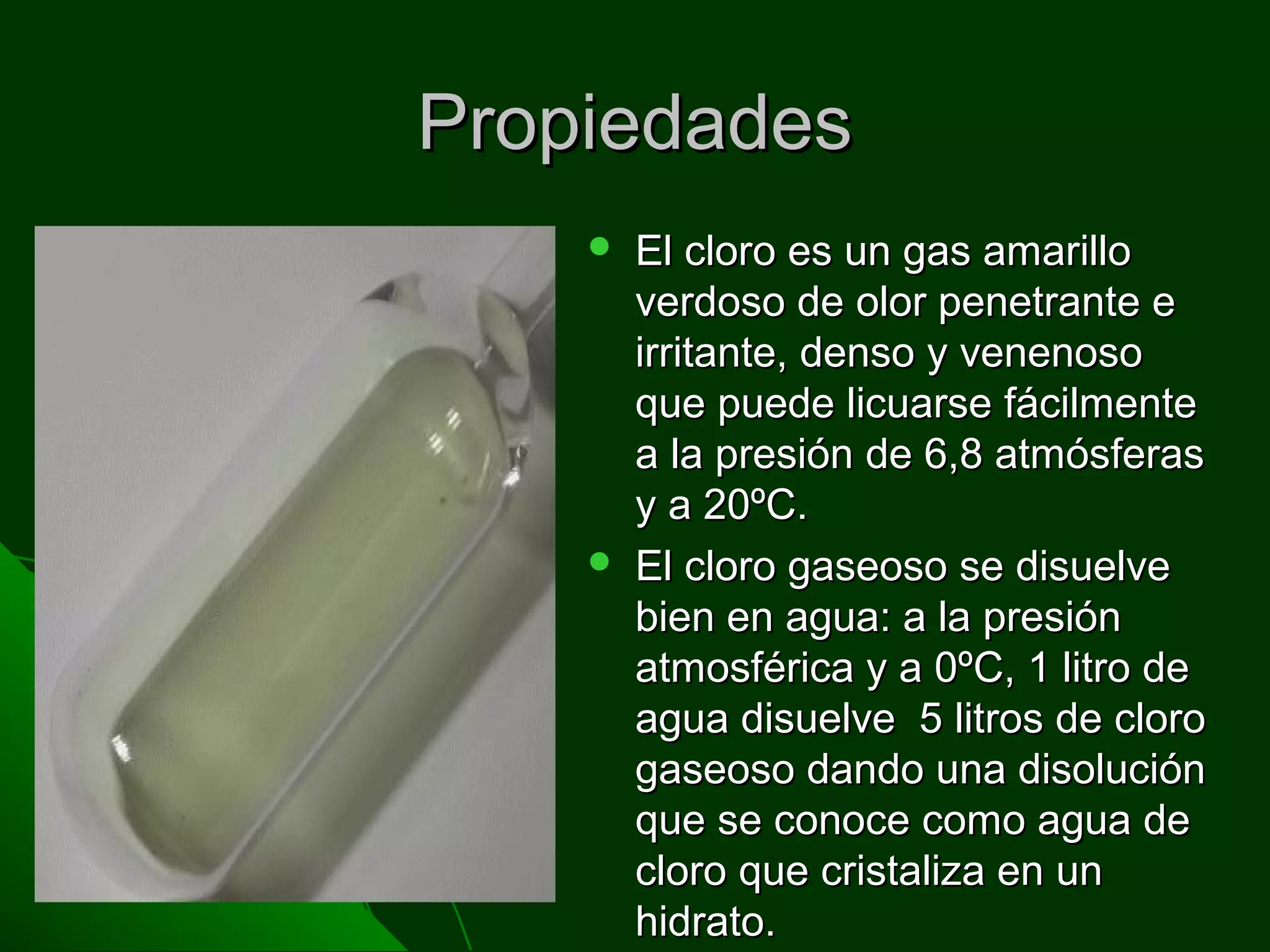 PropiedadesPropiedades
 El cloro es un gas amarilloEl cloro es un gas amarillo
verdoso de olor penetrante everdoso de olor penetrante e
irritante, denso y venenosoirritante, denso y venenoso
que puede licuarse fácilmenteque puede licuarse fácilmente
a la presión de 6,8 atmósferasa la presión de 6,8 atmósferas
y a 20ºC.y a 20ºC.
 El cloro gaseoso se disuelveEl cloro gaseoso se disuelve
bien en agua: a la presiónbien en agua: a la presión
atmosférica y a 0ºC, 1 litro deatmosférica y a 0ºC, 1 litro de
agua disuelve 5 litros de cloroagua disuelve 5 litros de cloro
gaseoso dando una disolucióngaseoso dando una disolución
que se conoce como agua deque se conoce como agua de
cloro que cristaliza en uncloro que cristaliza en un
hidrato.hidrato.
 