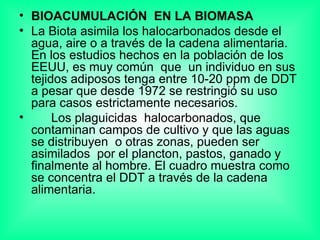 BIOACUMULACIÓN  EN LA BIOMASA La Biota asimila los halocarbonados desde el agua, aire o a través de la cadena alimentaria. En los estudios hechos en la población de los EEUU, es muy común  que  un individuo en sus tejidos adiposos tenga entre 10-20 ppm de DDT a pesar que desde 1972 se restringió su uso para casos estrictamente necesarios. Los plaguicidas  halocarbonados, que contaminan campos de cultivo y que las aguas se distribuyen  o otras zonas, pueden ser asimilados  por el plancton, pastos, ganado y finalmente al hombre. El cuadro muestra como se concentra el DDT a través de la cadena alimentaria. 