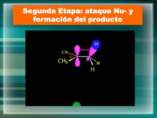 Segunda Etapa: ataque Nu- y
formación del producto
 