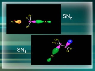 SN2
SN1
 