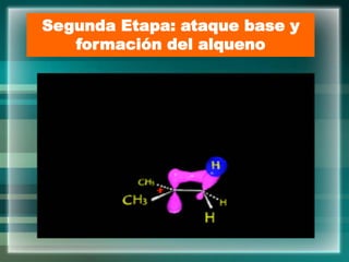 Segunda Etapa: ataque base y
formación del alqueno
 