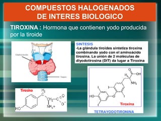 COMPUESTOS HALOGENADOS
DE INTERES BIOLOGICO
TIROXINA : Hormona que contienen yodo producida
por la tiroide
 