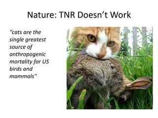 Nature: TNR Doesn’t Work
“cats are the
single greatest
source of
anthropogenic
mortality for US
birds and
mammals"
 