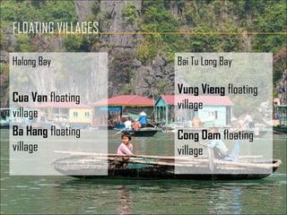 Halong Bay
Cua Van floating
village
Ba Hang floating
village
Bai Tu Long Bay
Vung Vieng floating
village
Cong Dam floating
village
 