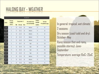In general: tropical, wet climate
2 seasons:
Dry season (cool/cold and dry):
October- May
Rainy season (hot and rainy,
possible stormy): June-
September
Temperature: average 15oC- 25oC
 