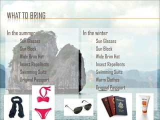 In the summer
 Sun Glasses
 Sun Block
 Wide Brim Hat
 Insect Repellents
 Swimming Suits
 Original Passport
In the winter
 Sun Glasses
 Sun Block
 Wide Brim Hat
 Insect Repellents
 Swimming Suits
 Warm Clothes
 Original Passport
 