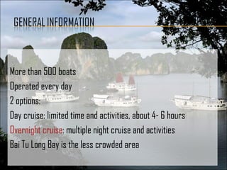 More than 500 boats
Operated every day
2 options:
Day cruise: limited time and activities, about 4- 6 hours
Overnight cruise: multiple night cruise and activities
Bai Tu Long Bay is the less crowded area
 