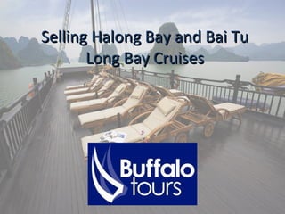 Selling Halong Bay and Bai Tu Long Bay Cruises 