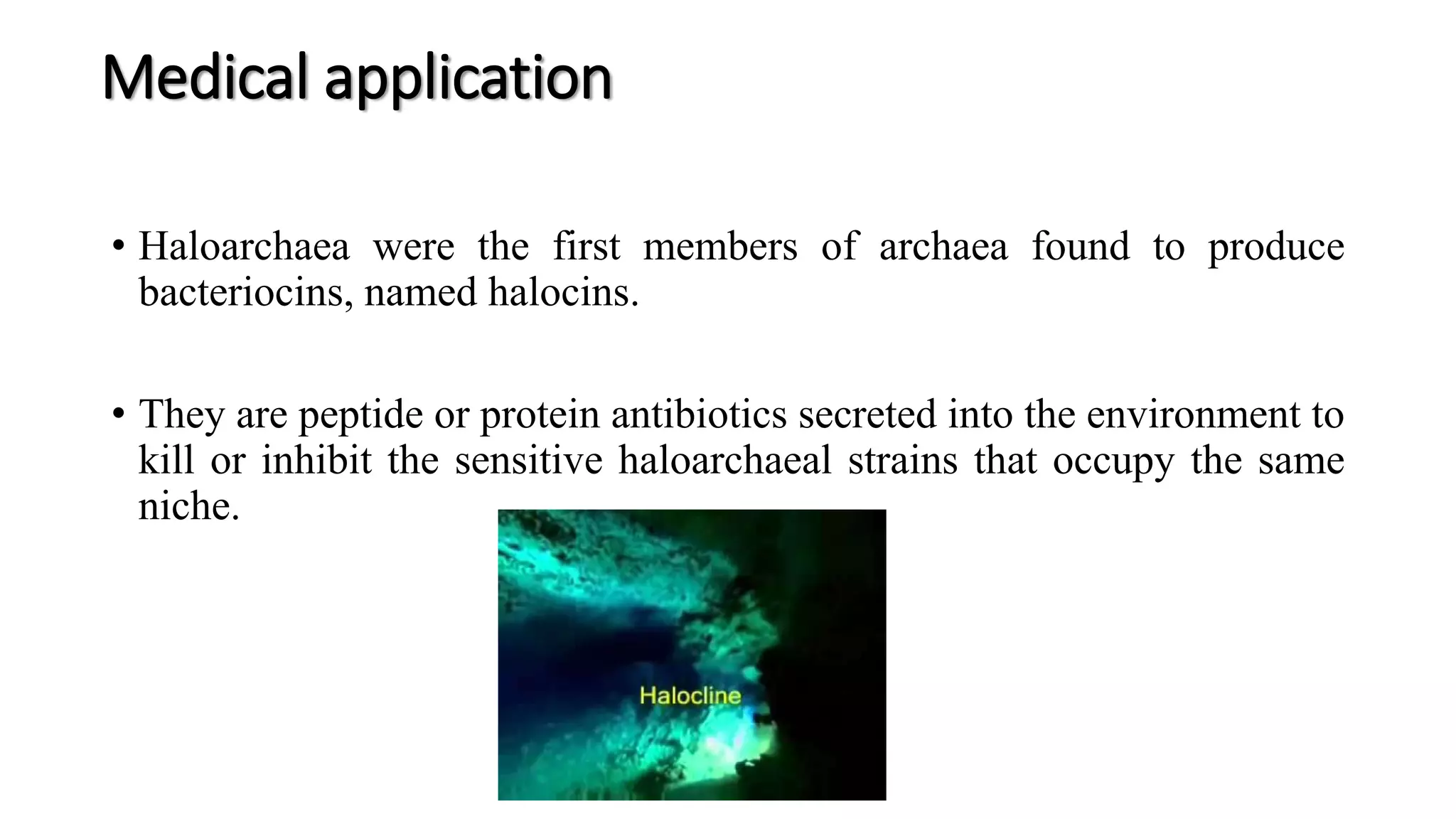 Medical application
• Haloarchaea were the first members of archaea found to produce
bacteriocins, named halocins.
• They are peptide or protein antibiotics secreted into the environment to
kill or inhibit the sensitive haloarchaeal strains that occupy the same
niche.
 