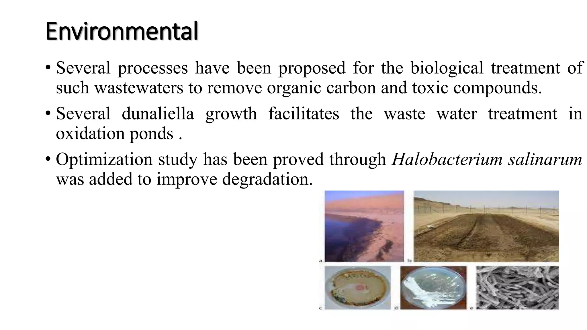 Environmental
• Several processes have been proposed for the biological treatment of
such wastewaters to remove organic carbon and toxic compounds.
• Several dunaliella growth facilitates the waste water treatment in
oxidation ponds .
• Optimization study has been proved through Halobacterium salinarum
was added to improve degradation.
 