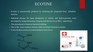 ECOTINE
 Ectoine is commercially produced by extracting the compound from halophilic
bacteria.
 Industrial process for mass production of ectoine and hydroxyectoine were
developed by using Halomonas elongata and Marinococcus M52, respectively.
 This procedured is based on bacterial milking.
 One of the most common osmotic solute in domain bacteria is ecotine.
 It was Ist discovered in Ectothiorhodspira halochloris.
 