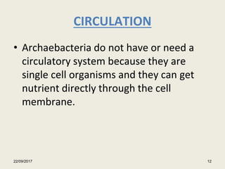 CIRCULATION
• Archaebacteria do not have or need a
circulatory system because they are
single cell organisms and they can get
nutrient directly through the cell
membrane.
22/09/2017 12
 