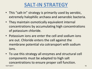 SALT-IN STRATEGY
• This “salt-in” strategy is primarily used by aerobic,
extremely halophilic archaea and aenarobic bacteria.
• They maintain osmotically equivalent internal
concentrations by accumulating high concentrations
of potassium chloride.
• Potassium ions are enter the cell and sodium ions
are out. Chloride enters the cell against the
membrane potential via cotransport with sodium
ions.
• To use this strategy all enzymes and structural cell
components must be adapted to high salt
concentrations to ensure proper cell function.
1O/11/2017 19
 