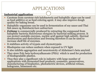 APPLICATIONS
Industrial application
 Carotene from carotene rich halobacteria and halophilic algae can be used
as food additive or as food coloring agent. it may also improve dough
quality for baking bread.
 Halophilic organisms can be used in fermentation of soy sauce and Thai
fish sauce eg Halobacterium salinarium
 Ectione is commercially produced by extracting the compound from
halophilic bacteria Halomonas elongata by bacterial milking process. It
can protect unstable enzymes, nucleic acid against high salinity, thermal
denaturation and desiccation and freezing therefore it can be used to
increase shelf life of enzymes.
 It stabilizes activity of trypsin and chymotrypsin
 Rhodopsins can reduce sunburn when exposed to UV light
 It also inhibits aggregation and neurotoxicity of Alzheimer’s beta amyloid.
 They store Poly beta hydroxyalkanoate (PHA) which is used for production
of biodegradable plastics.
 Thus they play a significant role in industry with large number of
applications with fermented food products, cosmetics, preservatives,
manufacturing of bioplastics, photoelectric devices, artificial retinas,
holograms, biosensors etc.
 