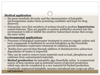 Medical application
 the great metabolic diversity and the characteristics of halophilic
microorganisms makes them promising candidate and hope for drug
discovery.
 Haloarchae were first members of archaea found to produce bacteriocins
named halocins. They are peptide or protien antibiotics secreted into the
environment to kill or inhibit the sensitive haloarchael strains that occupy
the same niche.
Environmental applications
 Processes of biological wastewater treatment to remove organic carbon and
toxic compounds is facilitated by several halophiles eg the Dunaliella
growth facilitates wastewater treatment in oxidation ponds.
 Studies have proved that through addition of Halobacterium salinarium
degradation of wastes is improved.
 They can be used to remove toxic materials such as lead, phosphorus and
cadmium from contaminated materials.
 Biofuel production the halophilic alga Dunaliella salina is commericial
source of beta carotene and as potential source of glycerol production
which may also be considered as a raw material for biofuel production.
 Genetically engineered halophilic enzymes introduced into crops can allow
salt tolerance
 